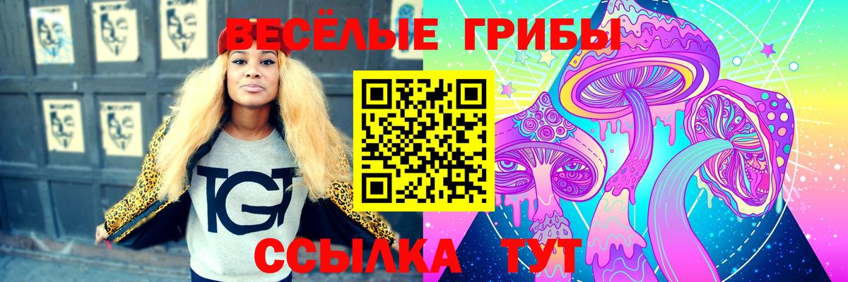 Псилоцибиновые грибы GOLDEN TEACHER  Вход с VPN  Нефтекумск 